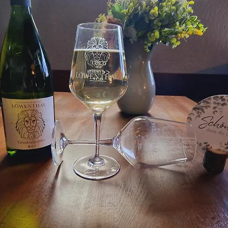 Neding 酒店 霍恩斯坦