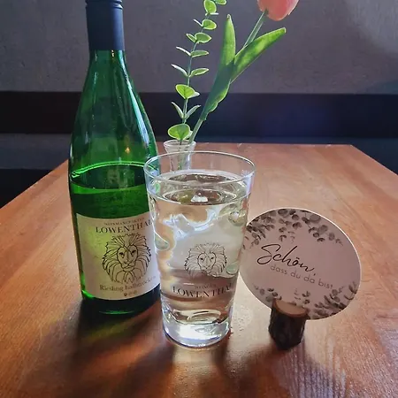 Neding 酒店 霍恩斯坦