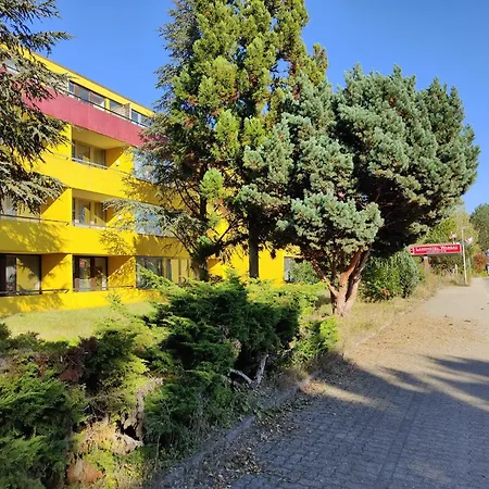 Neding 酒店 霍恩斯坦